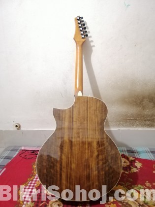 Chard Acoustic Guitar